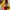 Hysteric Glamour Y2K Wanita yellow photo 4