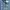 Jersey Home Manchester City 2024/2025 photo 3