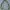 Decathlon Forclaz Outdoor Mountain Puffer Jacket  photo 6