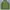 Decathlon Forclaz Outdoor Mountain Puffer Jacket  photo 1