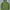 Decathlon Forclaz Outdoor Mountain Puffer Jacket 