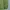 Decathlon Forclaz Outdoor Mountain Puffer Jacket  photo 4