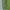 Decathlon Forclaz Outdoor Mountain Puffer Jacket  photo 5