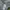 Decathlon Forclaz Outdoor Mountain Puffer Jacket  photo 7