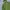 Decathlon Forclaz Outdoor Mountain Puffer Jacket  photo 3