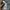 Decathlon Forclaz Outdoor Mountain Puffer Jacket  photo 8