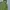 Decathlon Forclaz Outdoor Mountain Puffer Jacket  photo 2
