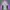 Columbia Outdoor Jacket Purple photo 5