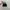 Charles and Keith Minimalist Casual Handbag Wanita black photo 3