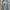 Jeans Accent Selvedge 