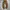 LONGPANTS DICKIES KU336RBD photo 2