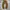 LONGPANTS DICKIES KU336RBD photo 1