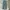 Gung Ho Vintage Casual Pants Pria Green