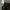 Gung Ho Vintage Casual pants Pria green photo 4