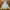 Yohji Yamamoto Y2K Casual Trench Coat Wanita White
