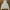 Yohji Yamamoto Y2K Casual Trench coat Wanita white photo 3