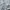 Yohji Yamamoto Y2K Casual Trench coat Wanita white photo 5