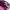 Under Armour Sportswear Casual Hat Pria pink photo 3