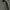 In the attic japanese cargo pants photo 6