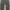 In The Attic Japanese Cargo Pants