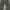 In the attic japanese cargo pants photo 4