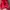 Bimba Y Lola Casual Backpack Wanita red photo 4