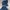 The North Face Casual Parka Pria blue photo 2