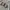Tshirt GAP not carhartt stussy patagonia bape stone island c photo 3