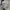 Tshirt adidas trifoil not carhartt stussy patagonia bape sto photo 4