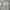 Polorugby calvin klein not carhartt stussy patagonia bape st photo 1
