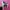 Nike Air Jordan 1 Low photo 2