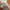 Pomelo Casual Summer dress Wanita green khaki photo 4