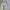 Poloshirt adidas not carhartt stussy patagonia bape stone is photo 2