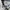 Poloshirt adidas not carhartt stussy patagonia bape stone is photo 4