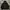 HOODIE DISCOVERY