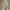 Bershka Casual Casual Trouser Wanita Tan