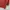 BURBERRY London Cardigan Knitwear photo 5