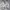 NB 530 Unisex Sneakers Shoes-Grey photo 3