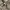 Hugo Boss Vintage Luxury Parka Pria green gray photo 6