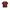 Covernat Casual T-shirt Pria Brown