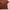 Covernat Casual T-shirt Pria brown photo 3