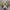 Converse Chuck Taylor All Star 70 S High Hacked Nomad Khaki photo 2