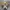 Converse Chuck Taylor All Star 70 S High Hacked Nomad Khaki