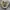 Converse Chuck Taylor All Star 70 S High Hacked Nomad Khaki photo 1