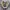 Converse Chuck Taylor All Star 70 S High Hacked Nomad Khaki