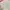 one set outer + inner pink coquette soft  photo 5