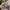 Lolita Cosplay Wanita White Blue