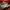 NIKE Court Vision Sneakers Low Shoes photo 1