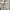 Cotton On Coquette Summer dress Wanita white blue photo 3