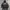 Kaos Hoodie Stussy photo 2